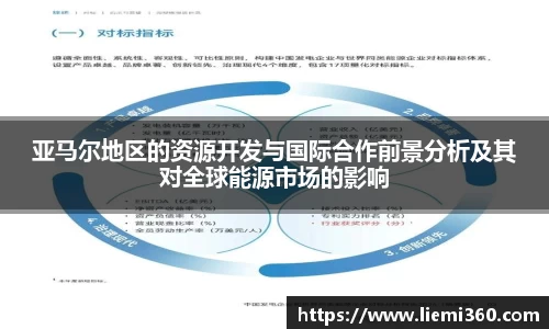 亚马尔地区的资源开发与国际合作前景分析及其对全球能源市场的影响